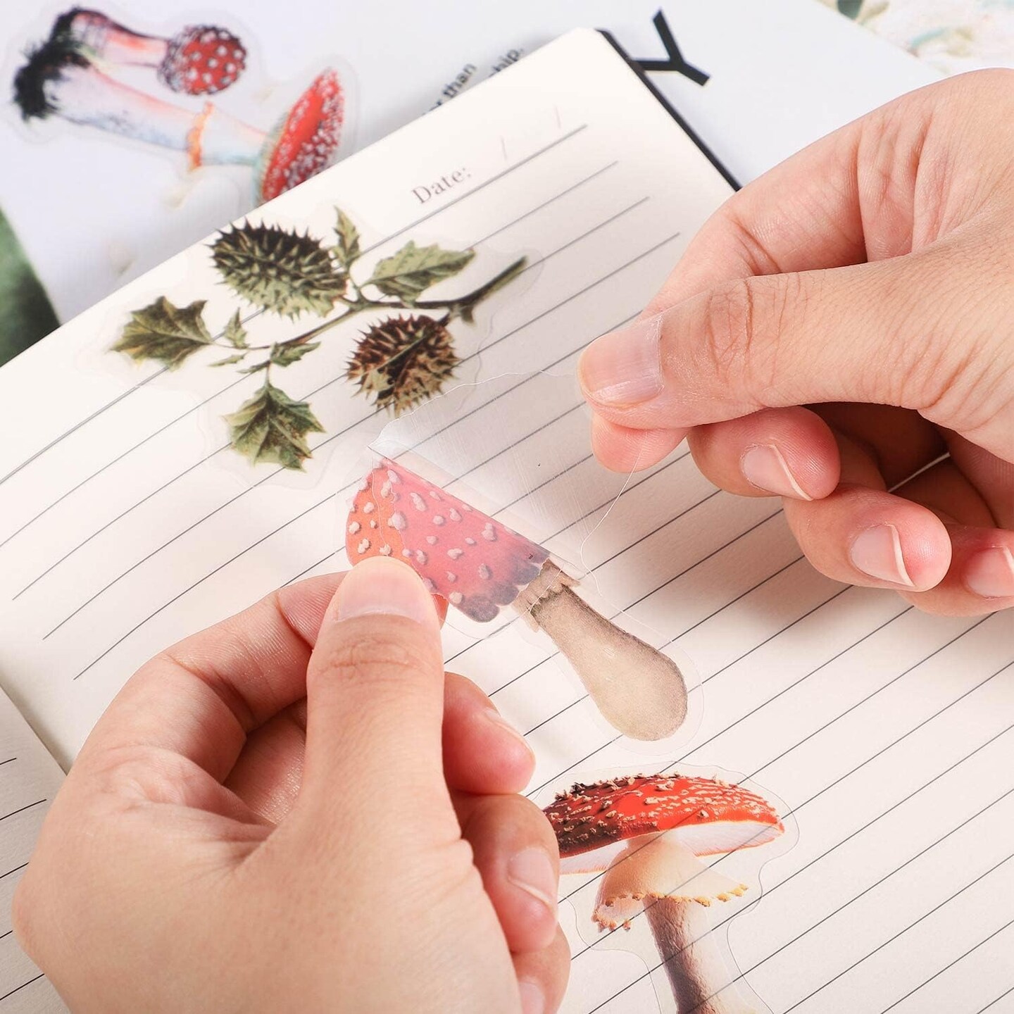 200 Pcs Floral Scrapbook Vintage Stickers (Mixed Style D) 9.4 x 6.3 x 0.4 inches