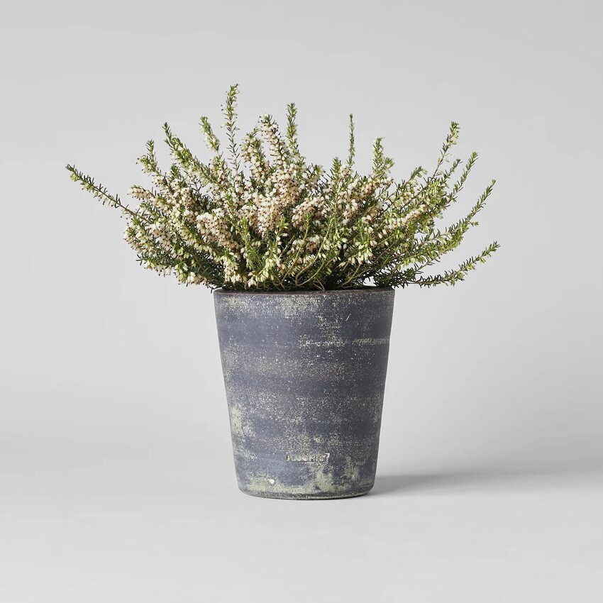 Basic Planter, Grey Patina | No Tray | Size: Small by Bloomist