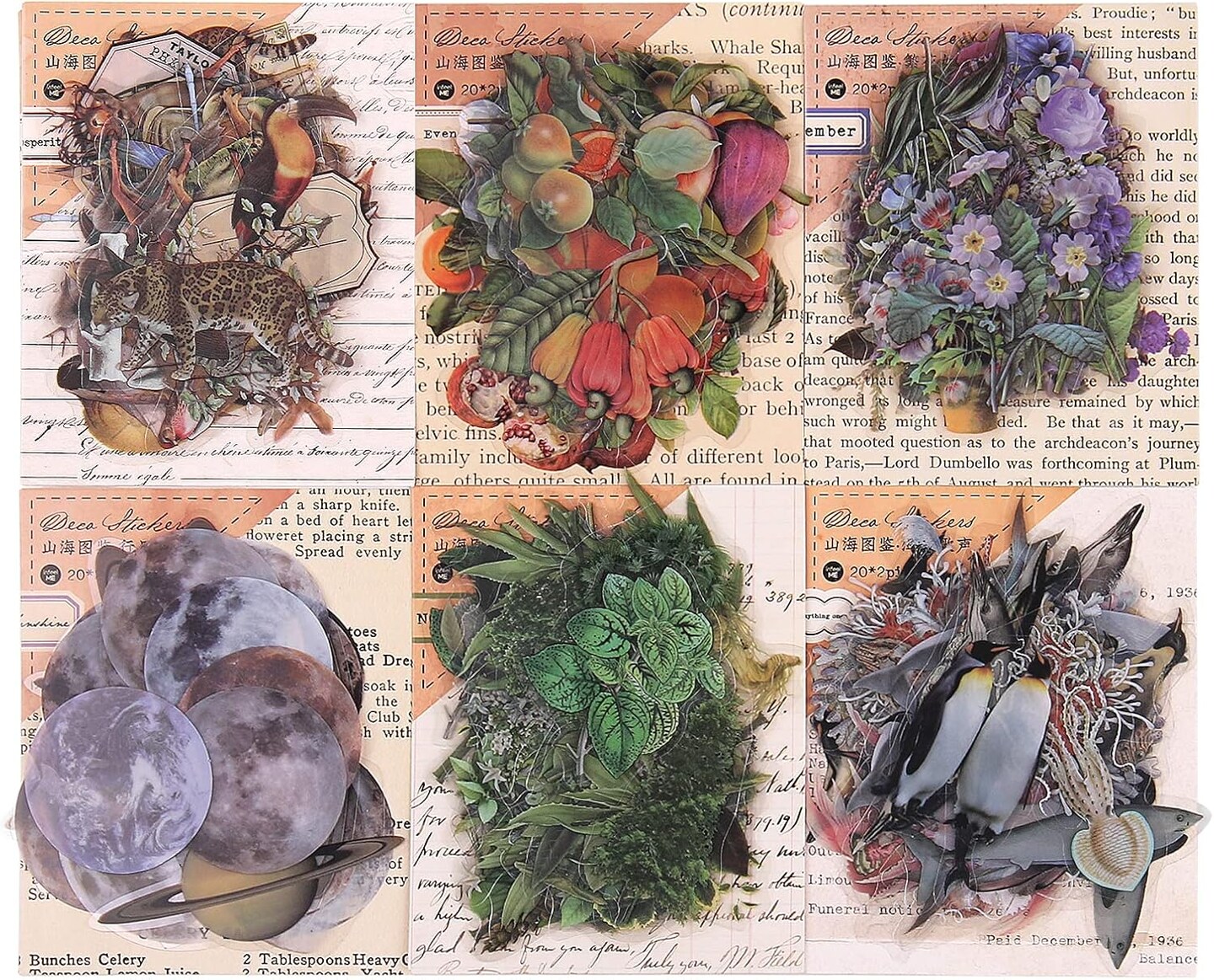 Pack of 240 Nature Themed Scrapbook Pre-Cut Stickers (Multicolor) 7.1 x 4.5 x 0.39 inches