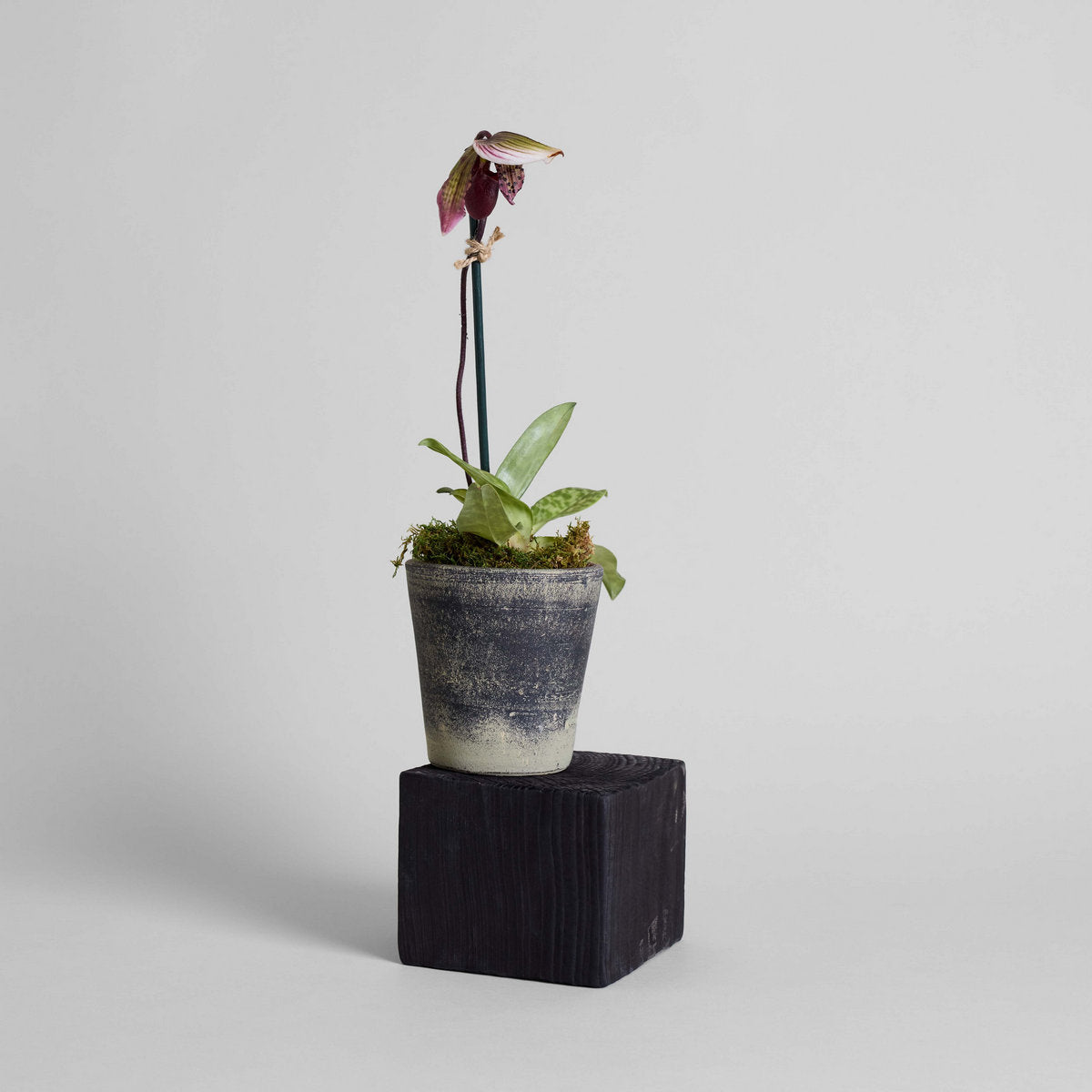 Basic Planter, Grey Patina | No Tray | Size: Small by Bloomist