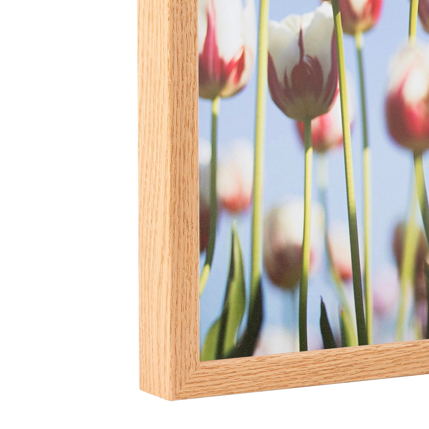 ArtToFrames 16x24 Inch Picture Frame, This 0.81 Inch Custom Wood Poster Frame is Available in Multiple Colors, Great for Your Art or Photos - Comes with Economy Acrylic and Corrugated Backing (A26MA)