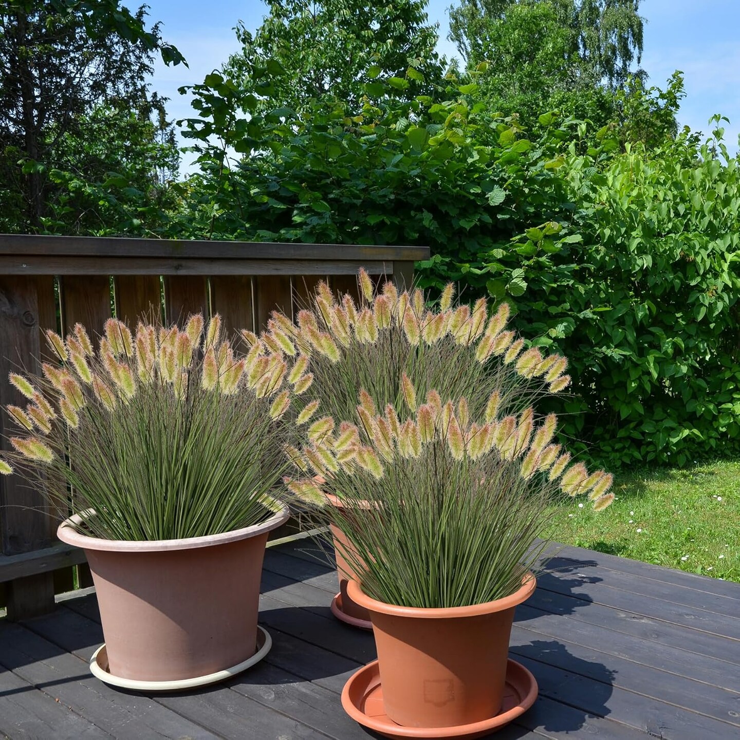 Wheatgrass Cattails Fake Grass Decorations