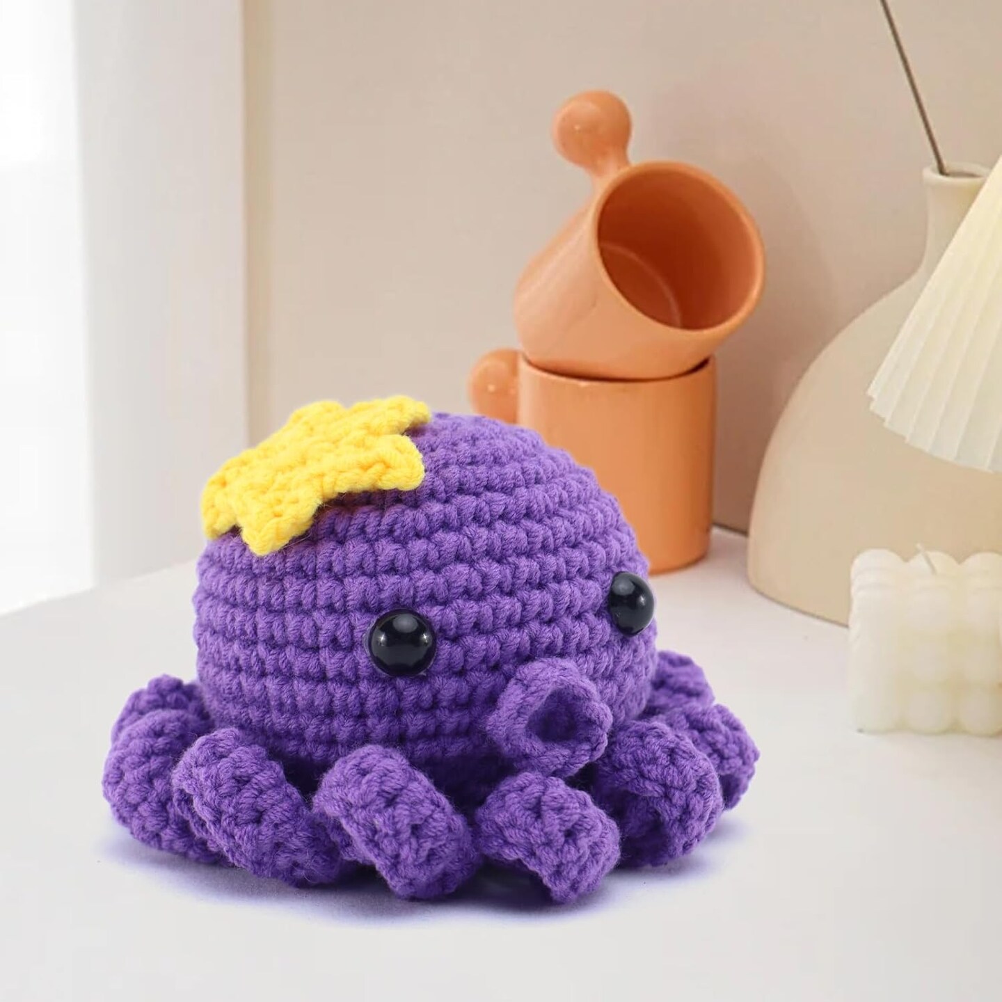 Crochet Kit for Beginners