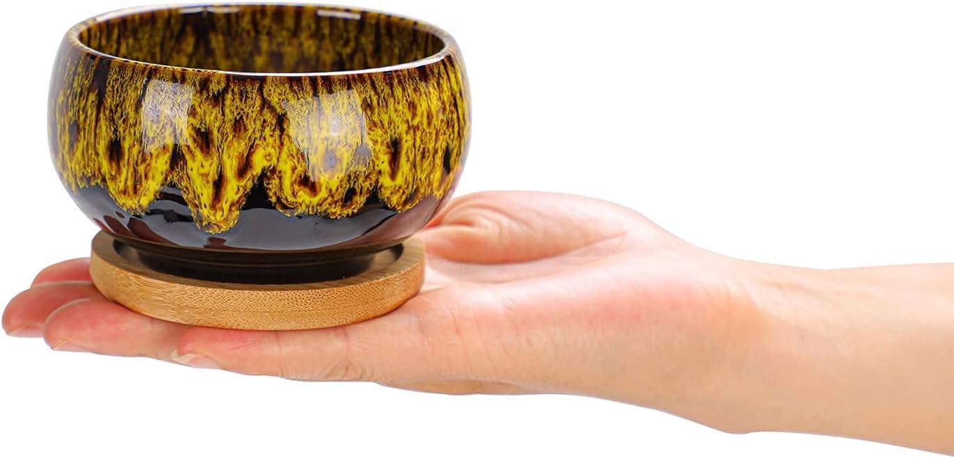 Set of 5 Ceramic Succulent Planter with Drainage and Attached Saucer (Round)