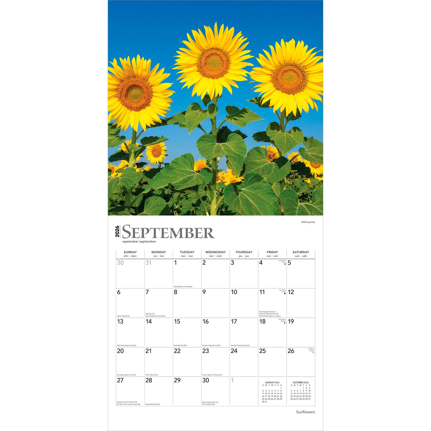 Sunflowers | 2026 12 x 24 Inch (Hanging) Monthly Square Wall Calendar | Plastic-Free