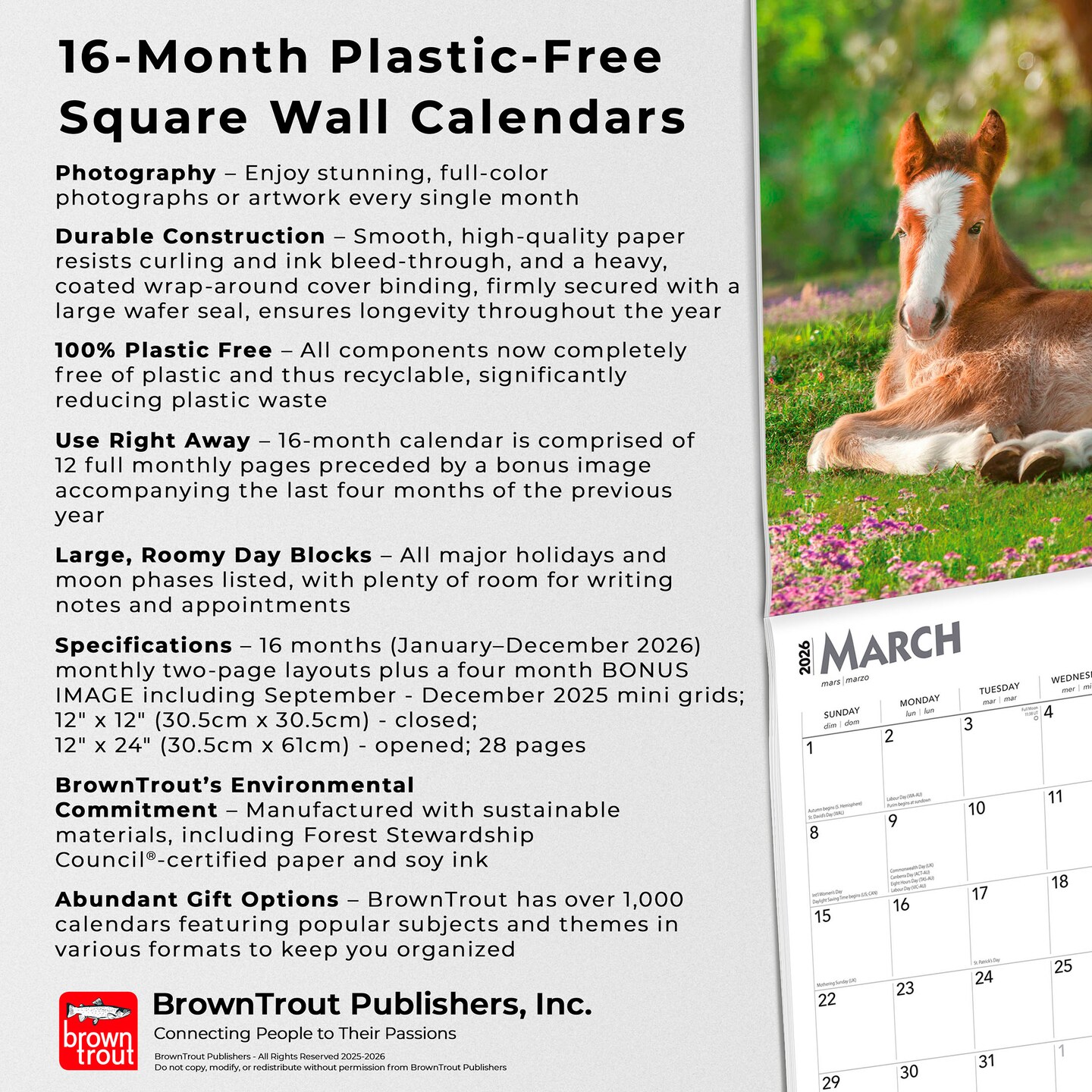 Colts and Fillies | 2026 12 x 24 Inch (Hanging) Monthly Square Wall Calendar | Plastic-Free