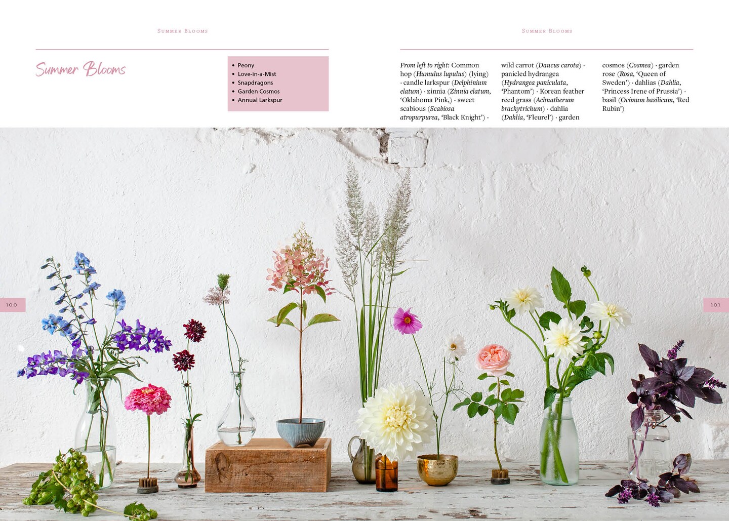 Sow, Grow, and Harvest: A Year-Round Guide to Gardening and Arranging Cut Flowers