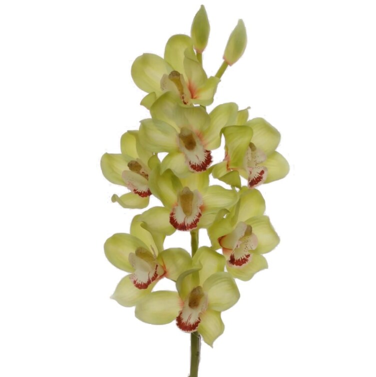 30&#x22; Cymbidium Orchid Stem - 3 PACK