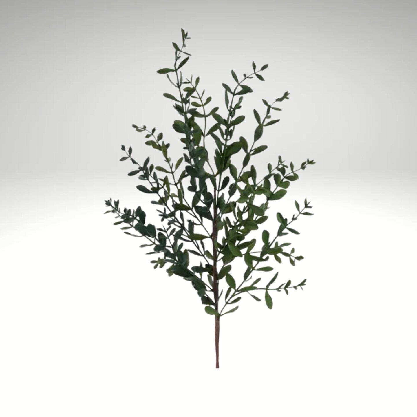 32" Wild Boxwood Spray – Artificial Greenery Stem for Crafts & Arrangements-FG666509