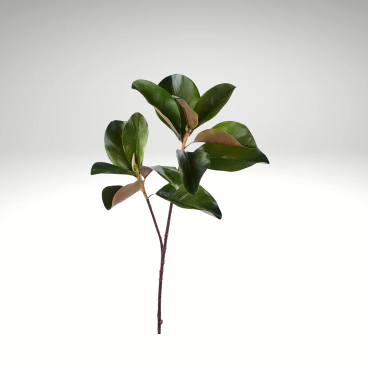 29" Magnolia Leaf Spray – Green/Brown Artificial Stem-FG659209