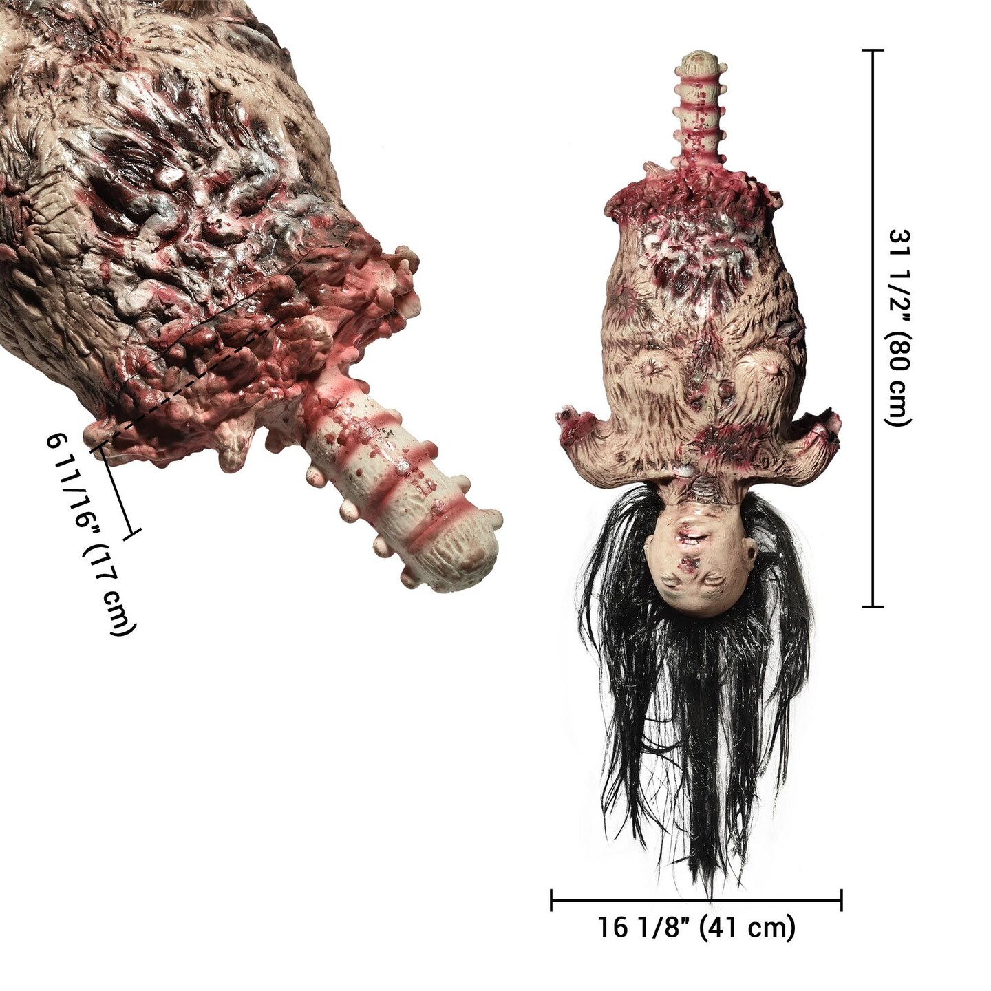 Halloween 16.1 Inch Limbless Woman Hanging Skeleton Prop