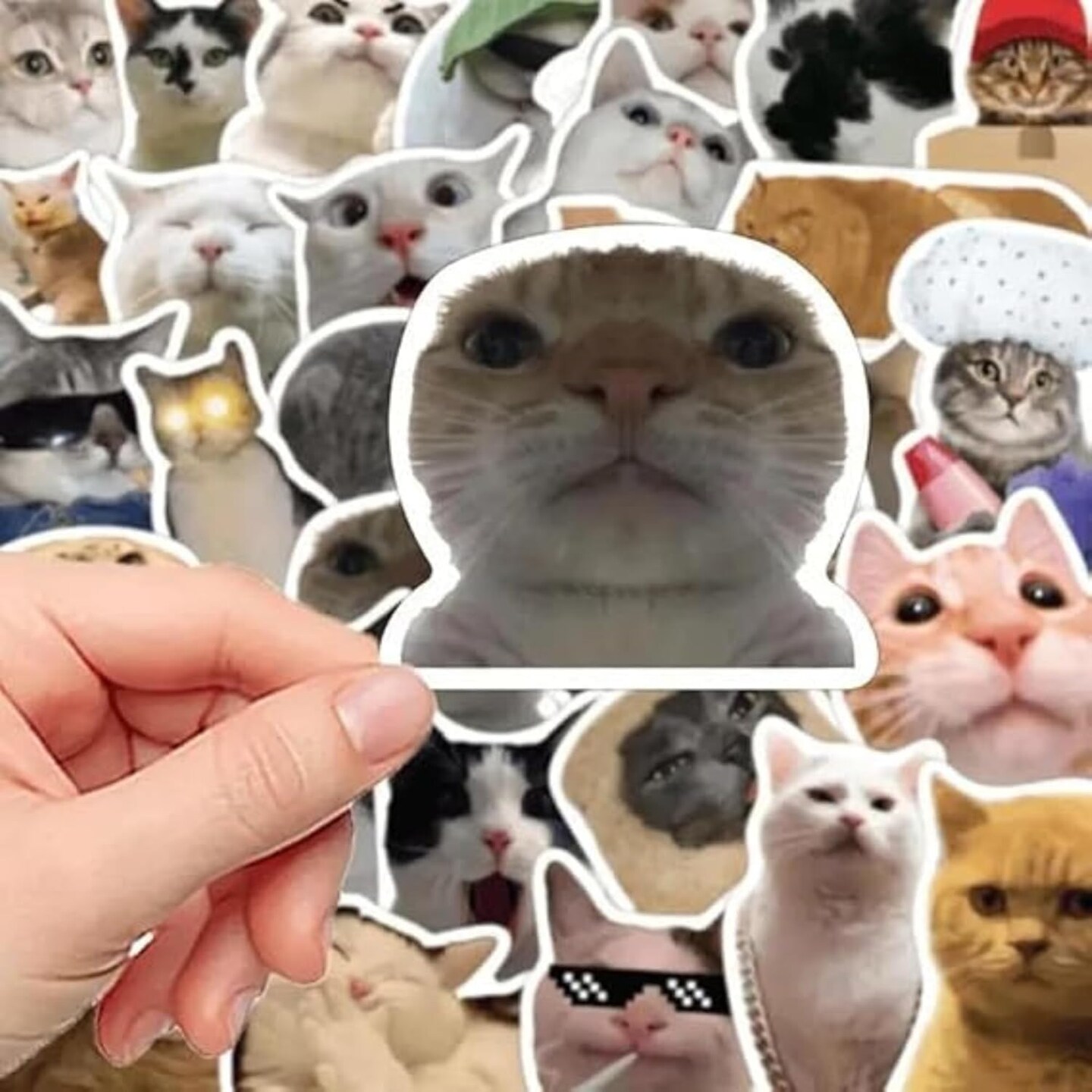 50 Pcs Waterproof Vinyl Stickers for Laptop, Phone, Guitar, Water Bottles, Luggage