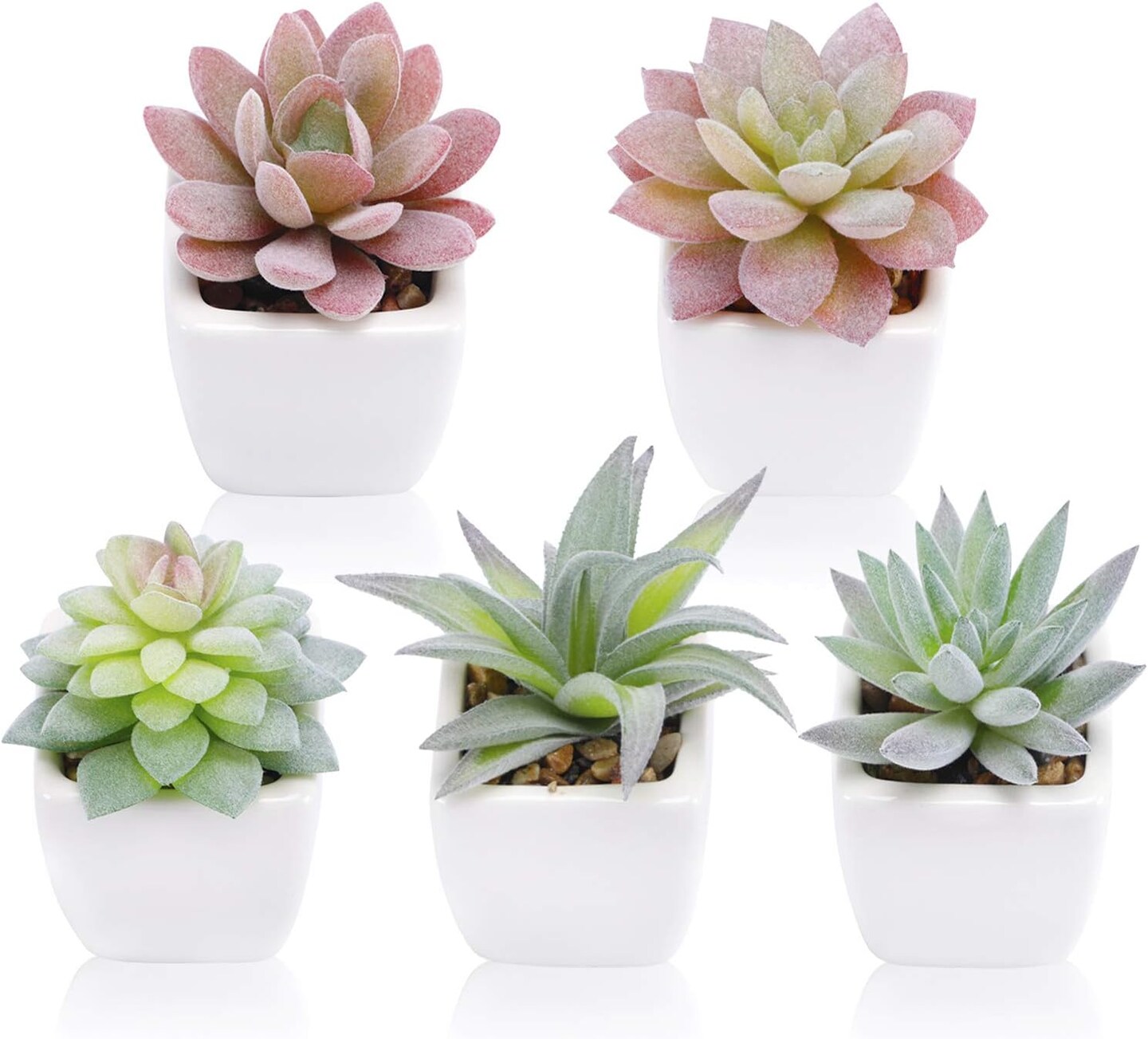 5-Pack Artificial Succulent Plants in White Ceramic Pots – Small Realistic Fake Desk Plants for Home, Office, Bedroom, Living Room, Shelf & Windowsill Decor