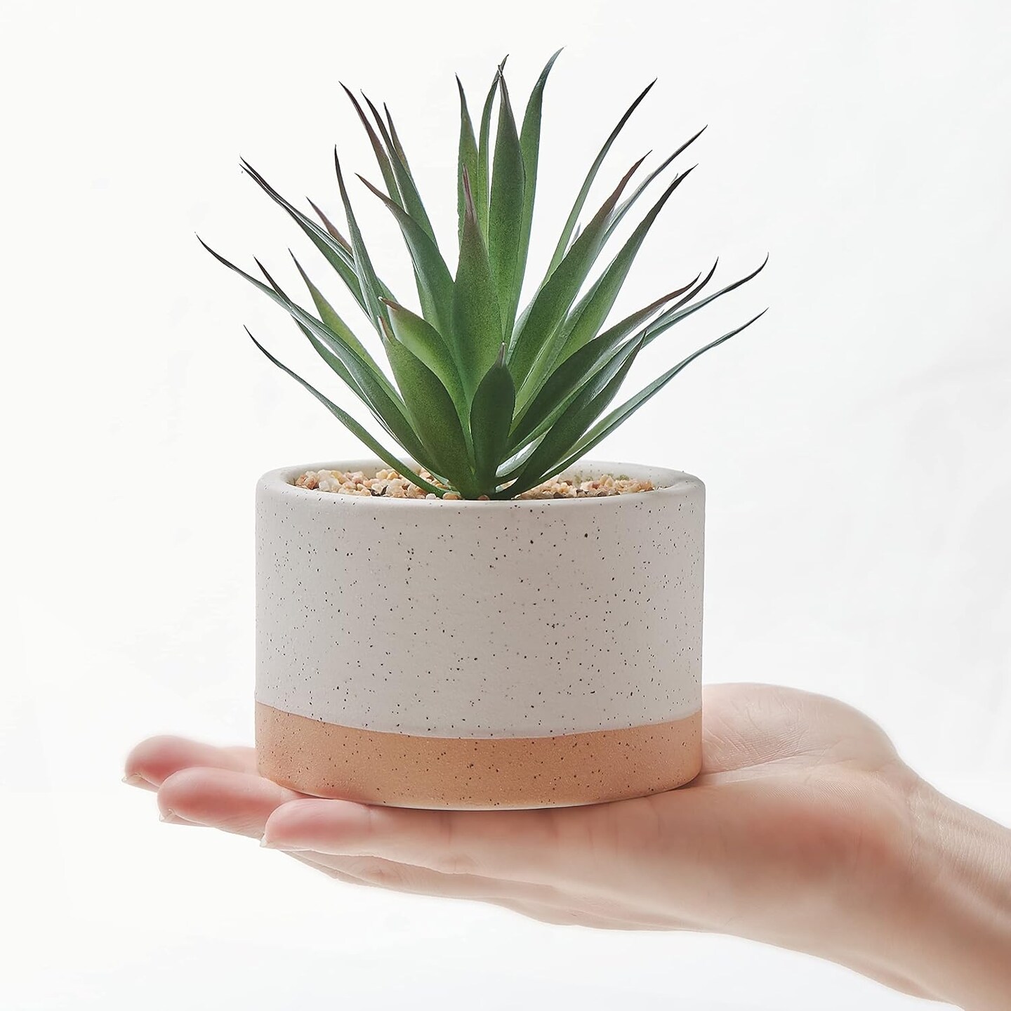 Set of 3 Artificial Succulents in Ceramic Pots – Faux Small Potted Cactus Plants for Home Decor, Bedroom, Office Desk, Living Room & Shelf Decoration