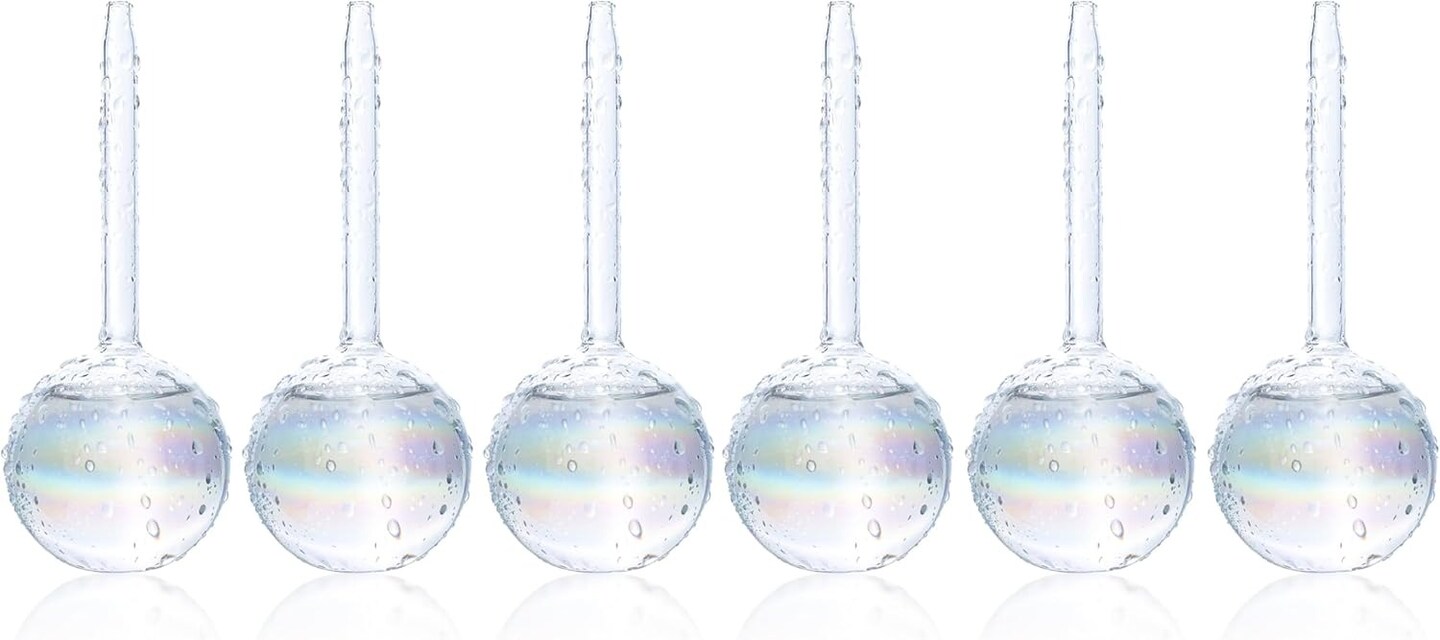 Set of 6 Plant Self Watering Globes for Indoor and Outdoor Plants