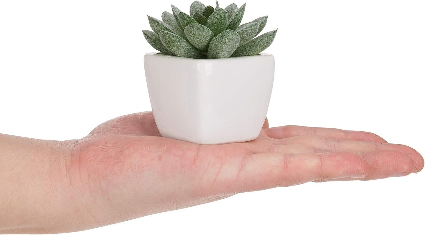 Set of 4 Mini Artificial Succulent Plants in Square White Ceramic Pots – Faux Green Succulents with Moss Soil for Home, Office, Desk, Shelf & Tabletop Decor