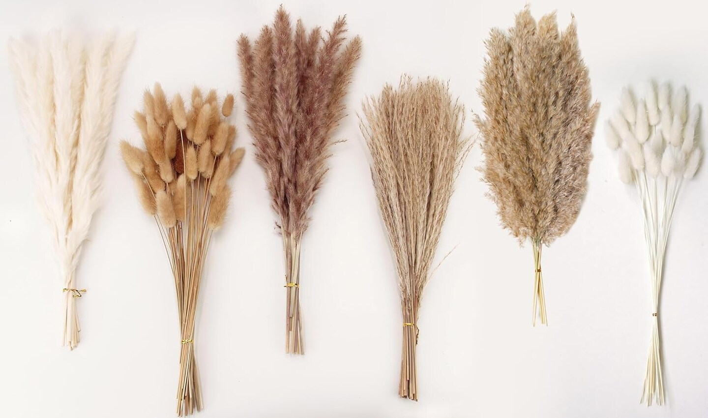 Dried Pampas Grass Decor (White and Brown)