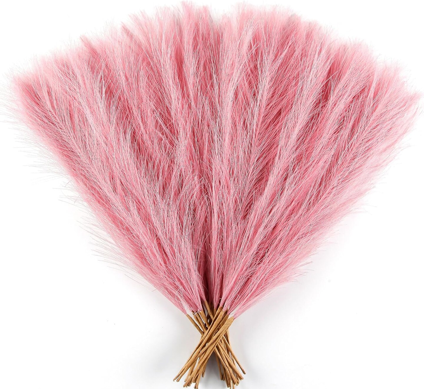 Pink Pampas Grass Small (Pink)