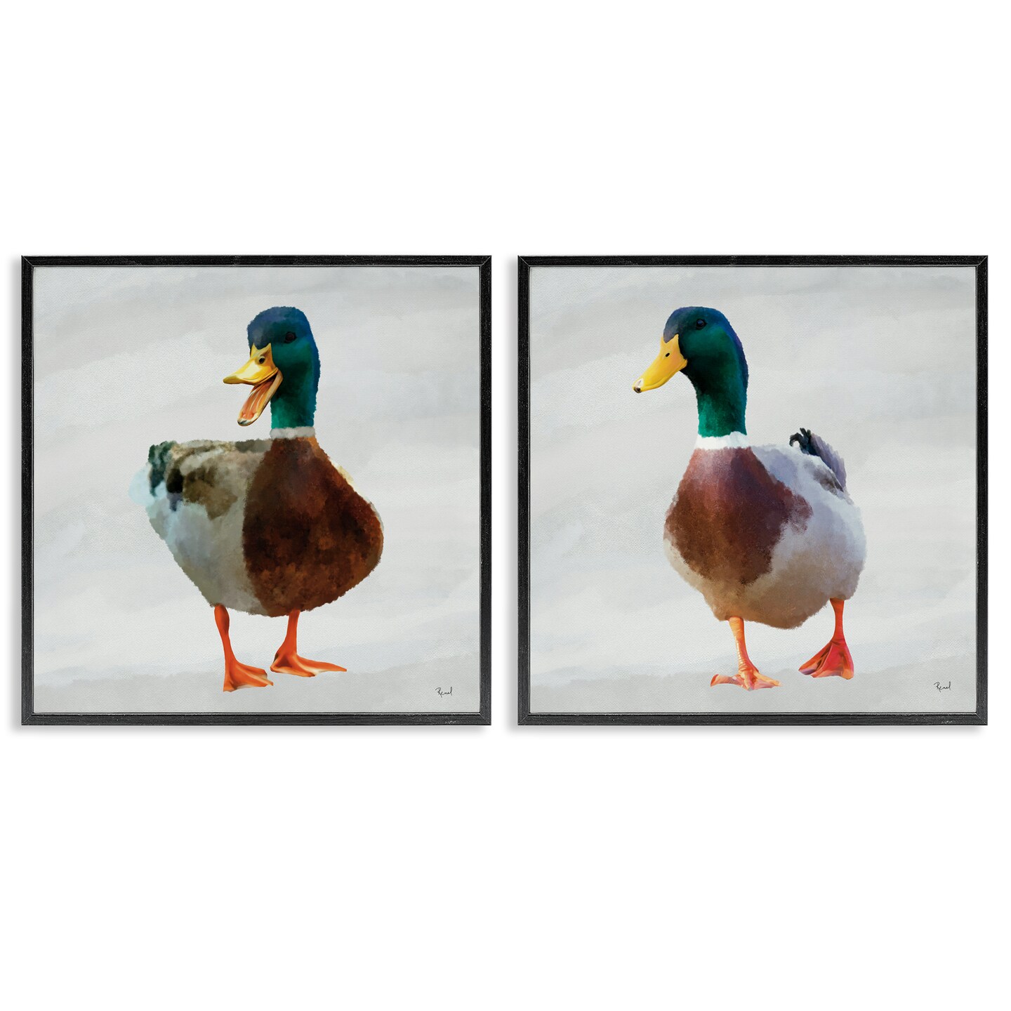 Stupell Industries Pair of Squawking Ducks 2pc Framed Giclee Set, design by Renel Peters