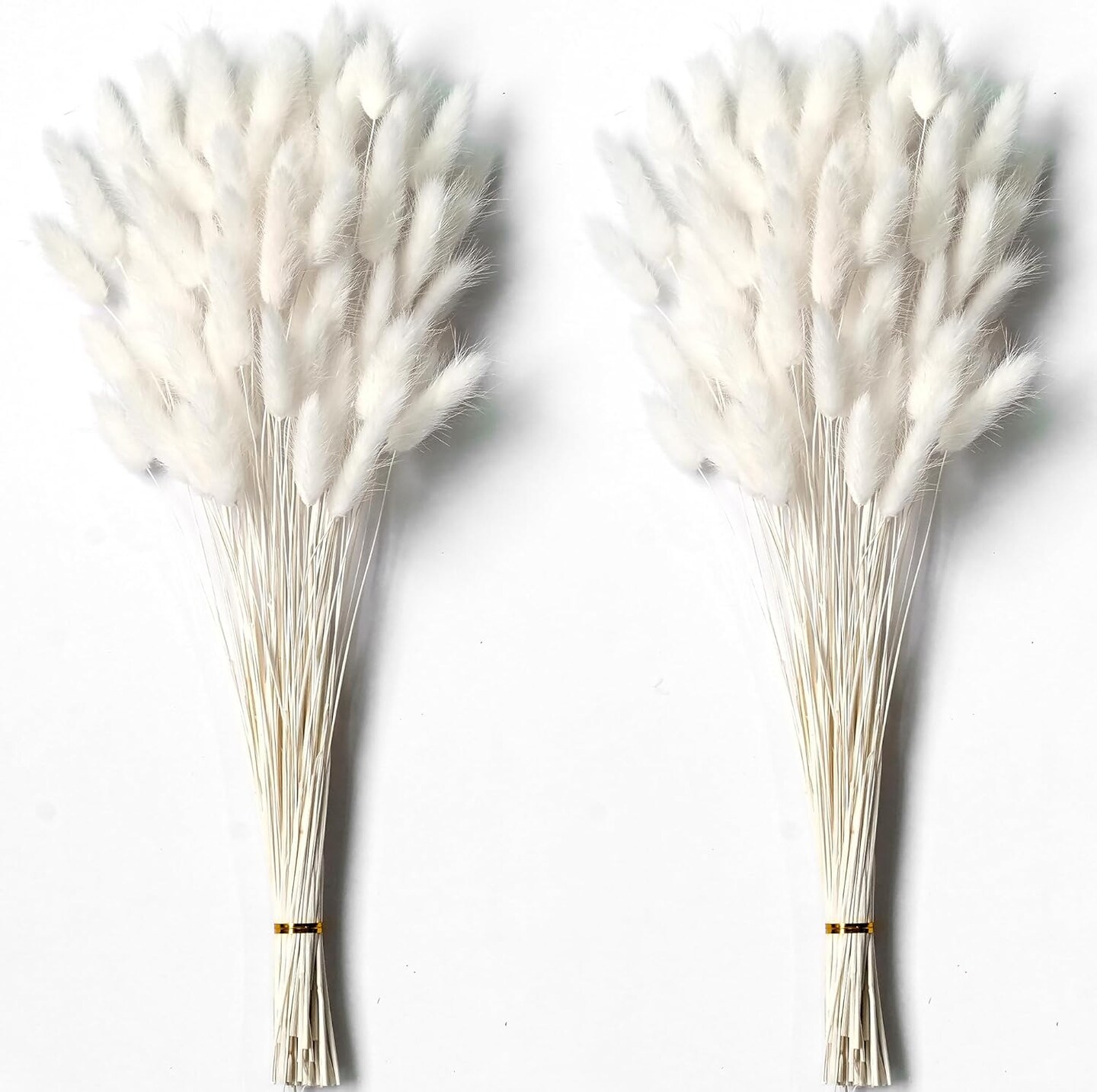 120 PCS White Dried Pampas Grass (&#x9;White )