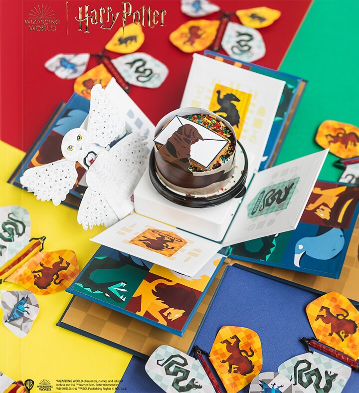 Harry Potter Hogwarts Explosion Box - Cake Treat Included
