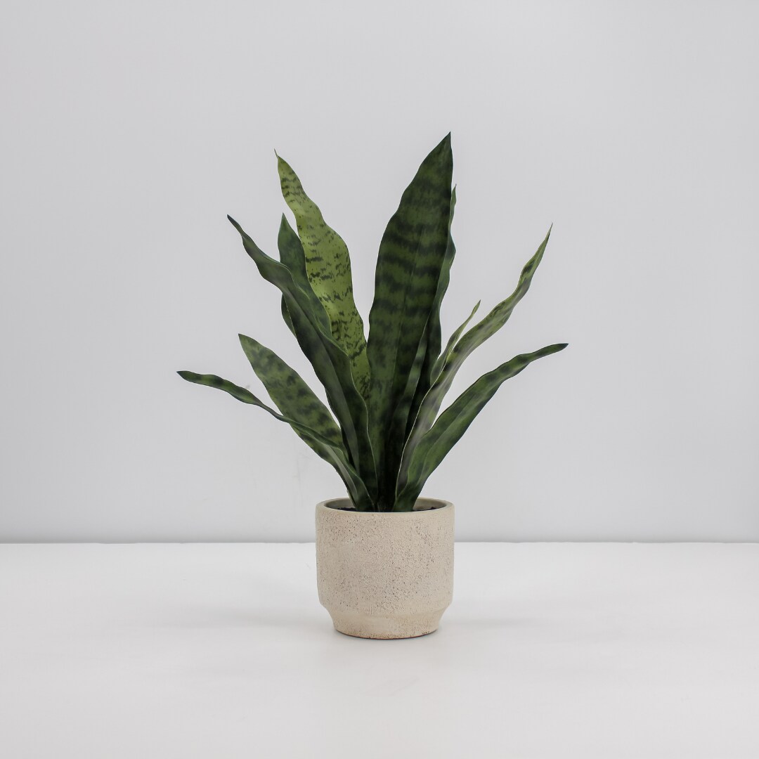 16&#x22; Faux Snake Plant &#x26; Fern Set
