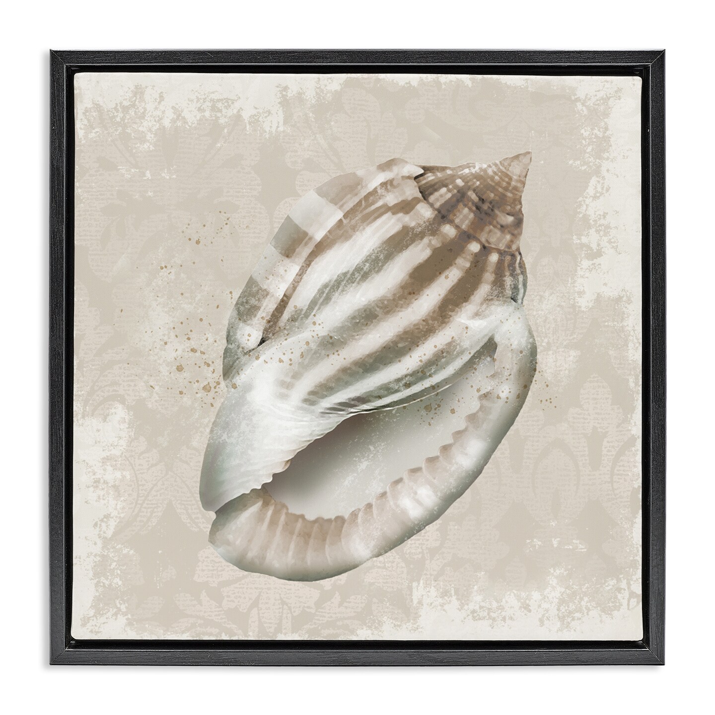 Stupell Industries Conch Shell over Vintage Pattern Floating Frame, design by Conrad Knutsen