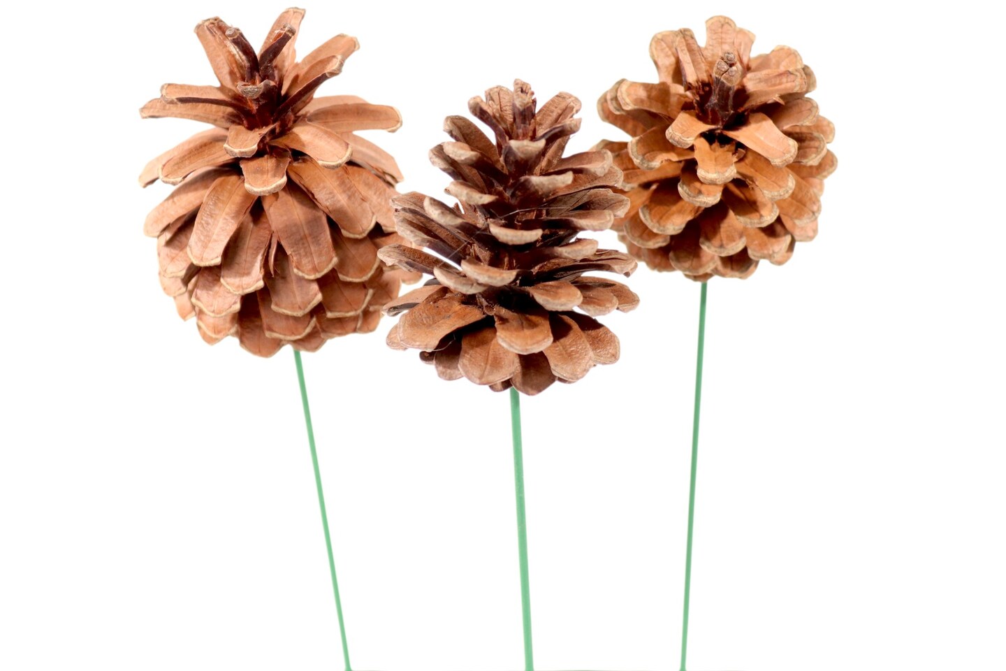 2.5" Natural Pinecone Pick – Artificial Holiday Décor, Christmas Craft Supplies, Set of 100