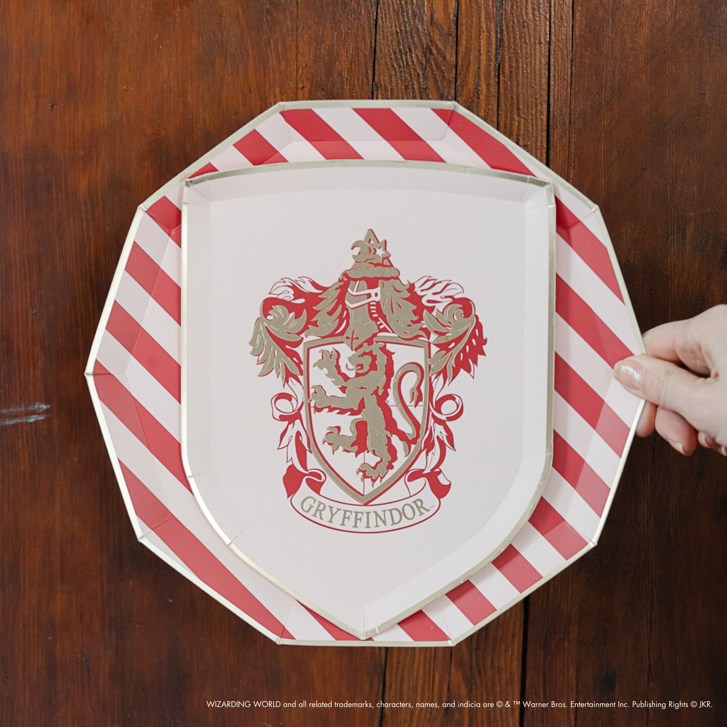 HARRY POTTER X BONJOUR F&#xCA;TE HOUSE PRIDE SMALL PLATES