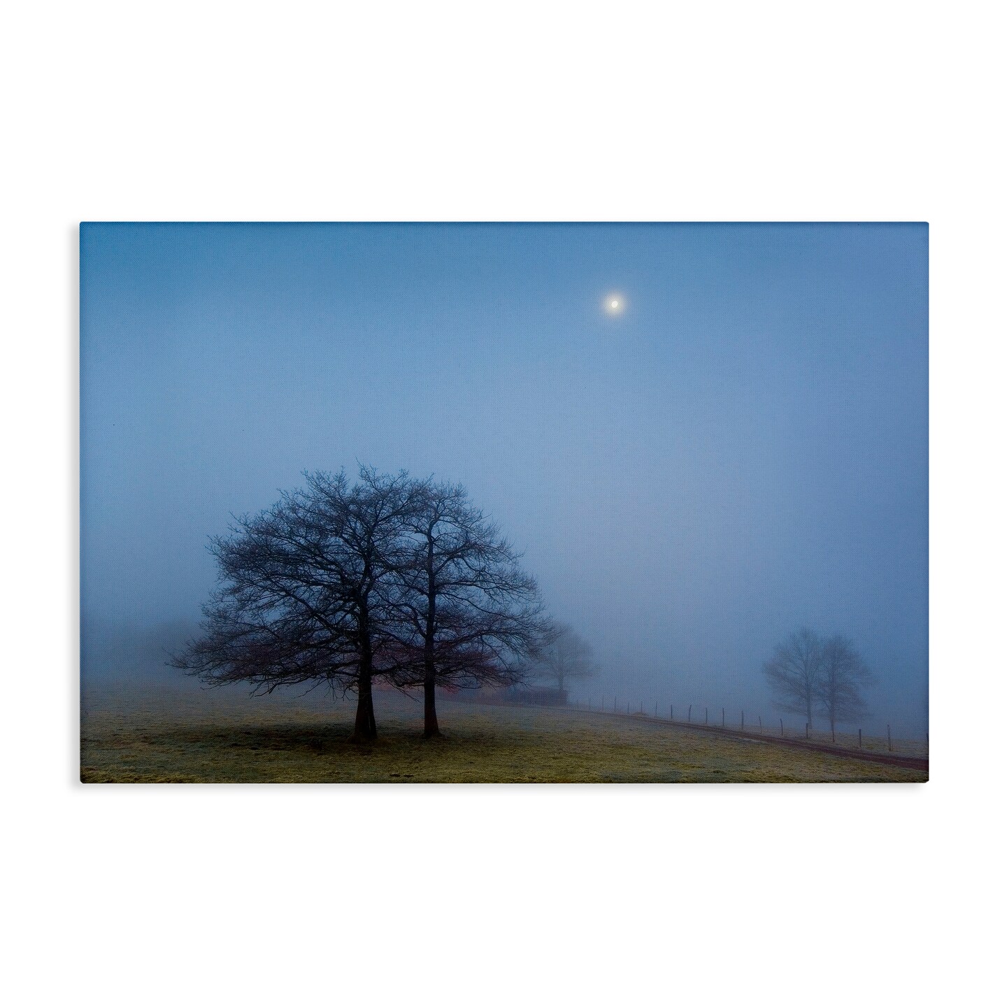 Stupell Industries Blue Silence Landscape Canvas, design by Urtzi Vera