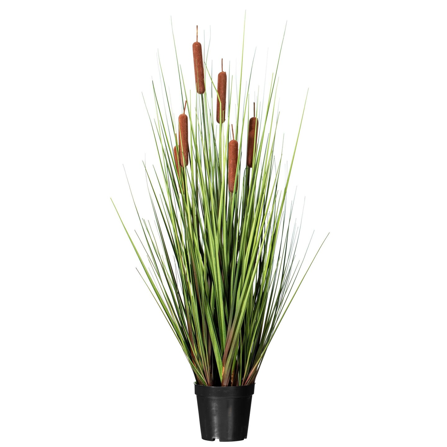 Vickerman 36" Artificial Potted Green Straight Gras and Cattails.