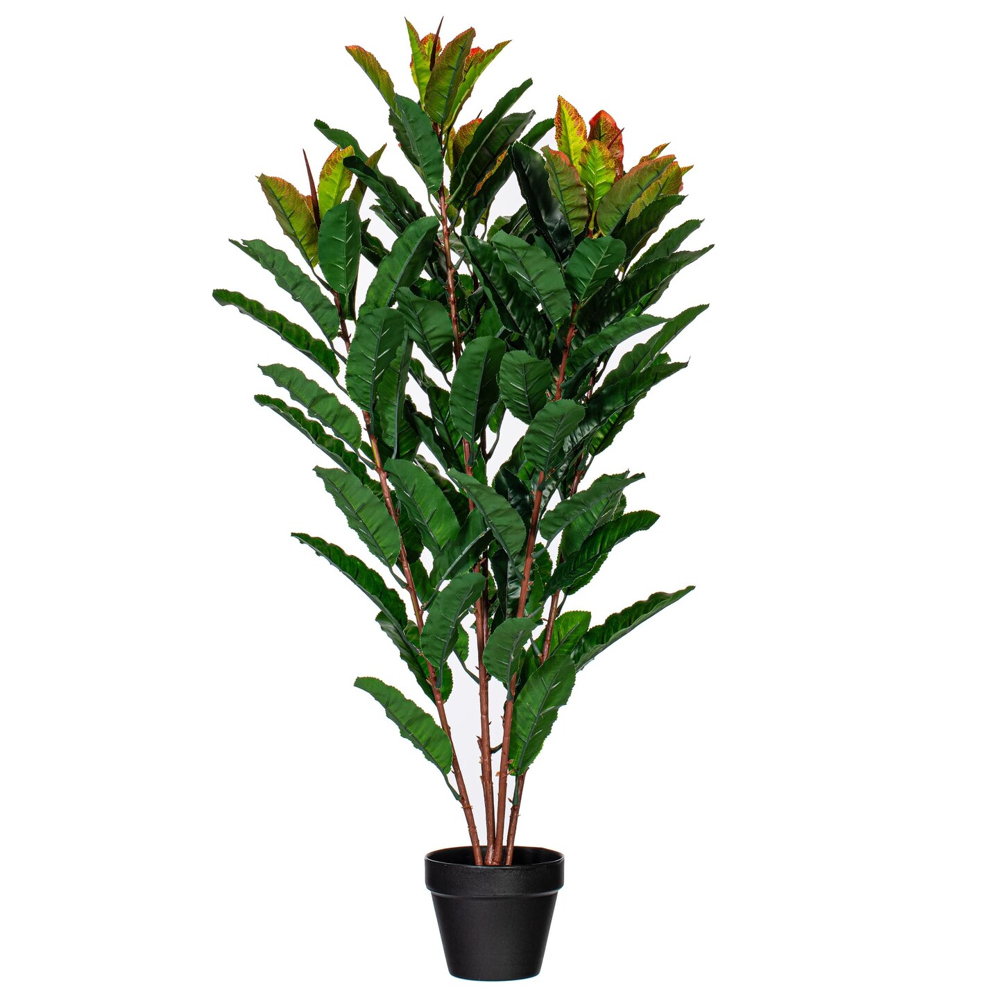 Vickerman 34" Green Myrtle in Pot 125 Lvs Real Tch - TA181434