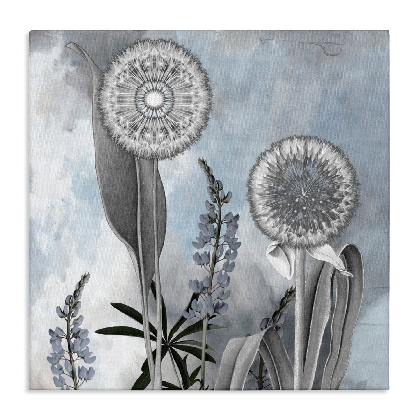 Stupell Industries Grey Toned Dandelion Sky Canvas, design by Sophie 6