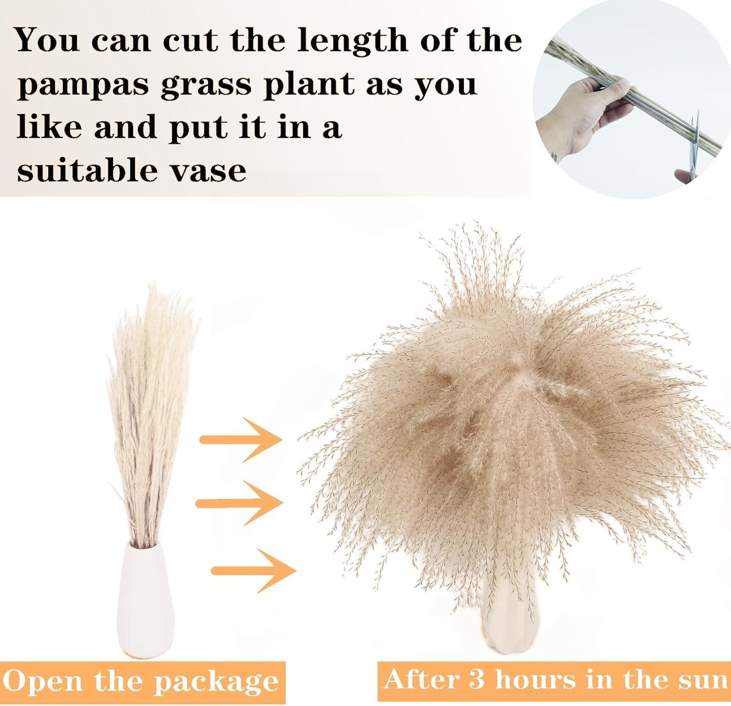 Dried Pampas Grass Decor (White and Brown)