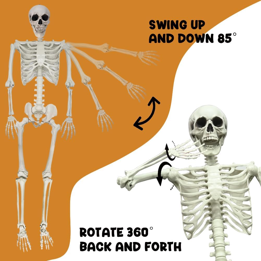 5.6ft Halloween Human Poseable Skull Skeleton