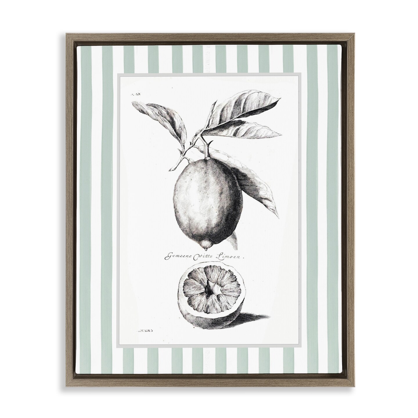 Stupell Industries Vintage Citrus Green Stripes Floating Frame, design by Lettered and Lined