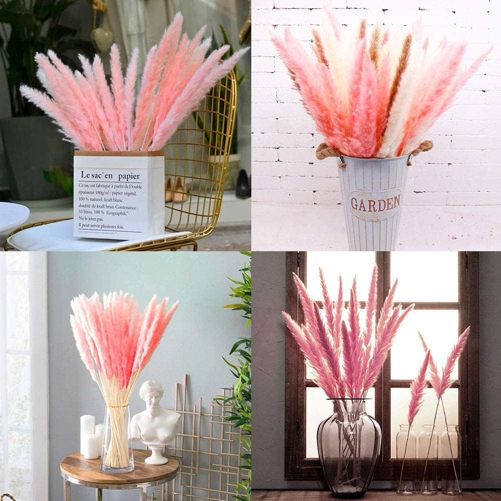 60 Stems Pampas Grass 17.5",Natural Dry Flowers Small Pampas Grass Branches for Vase Flower Arrangement Wedding Kitchen Home Decor(Pink)