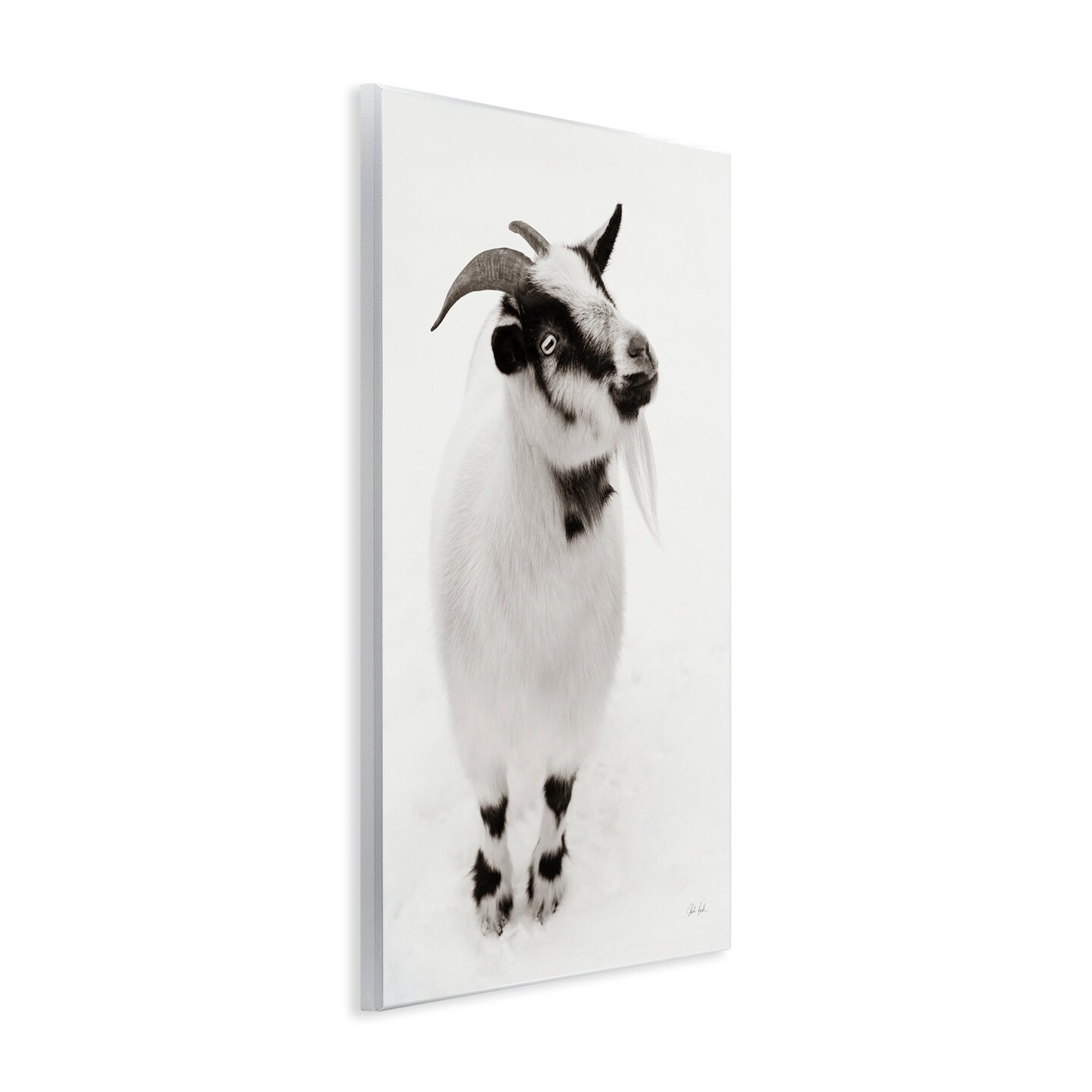 Stupell Industries White Little Goat Wall Plaque, design by Deborah Revell