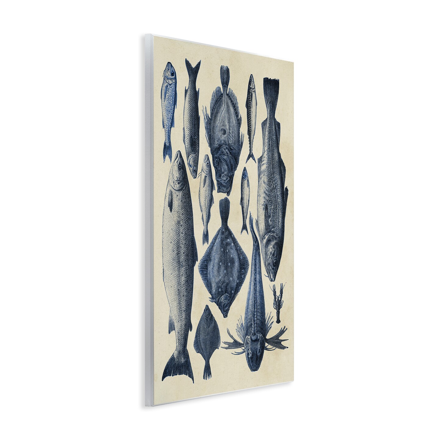 Stupell Industries Traditional Blue Fish Chart Wall Plaque, design by Alicia Longley