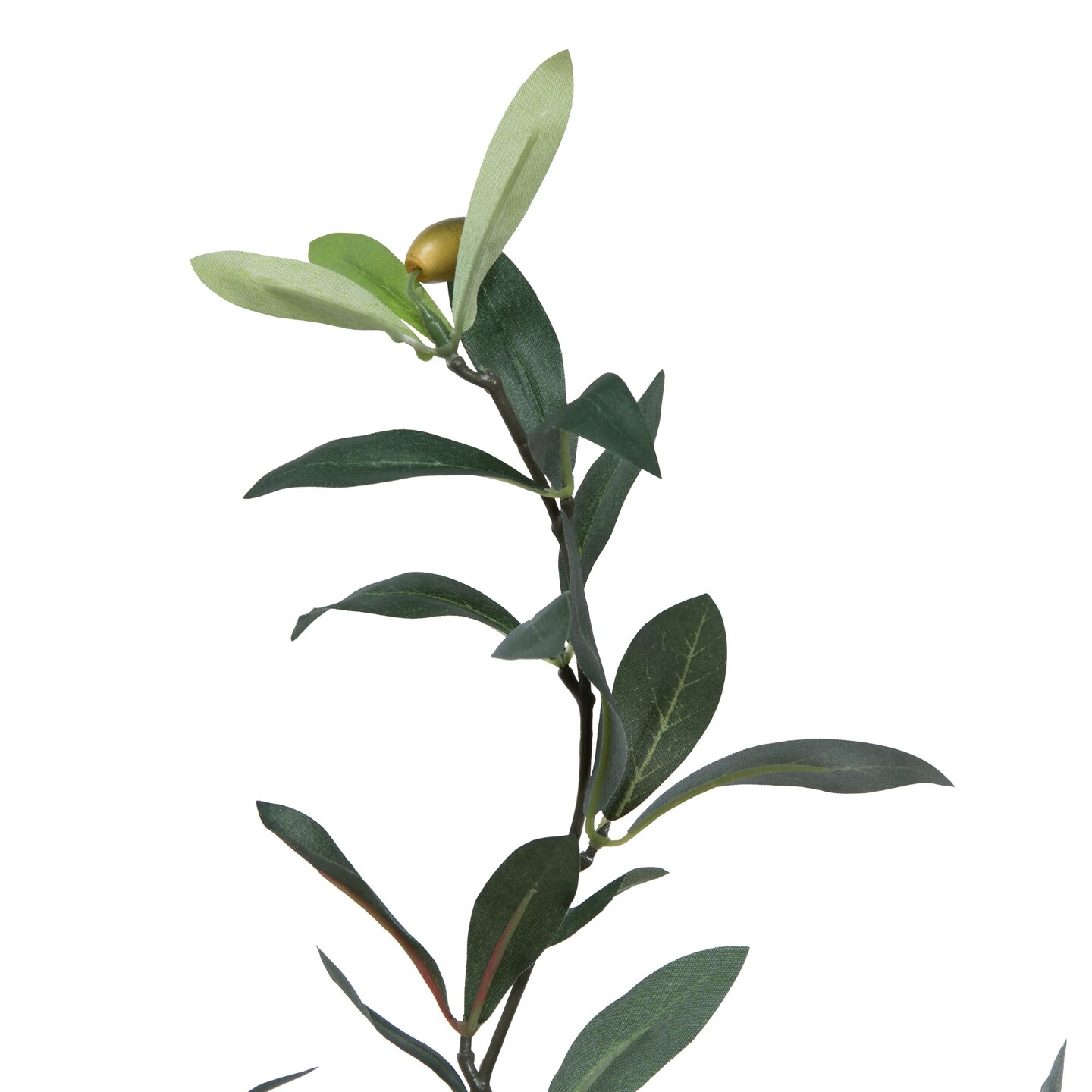 Vickerman 30&#x22;  Olive Tree in Pot - T161330