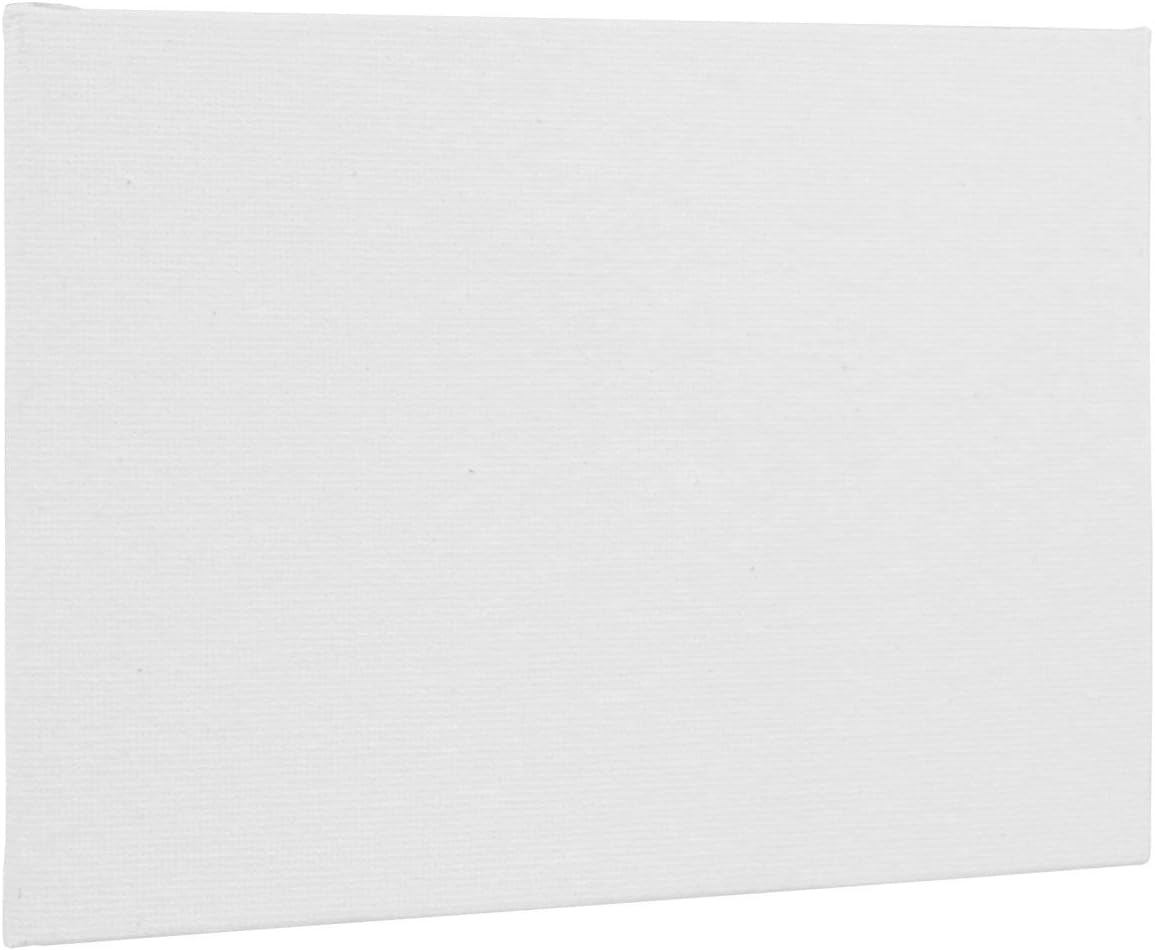 Acid Free Canvas Panel Boards for Painting 12-Pack(White)