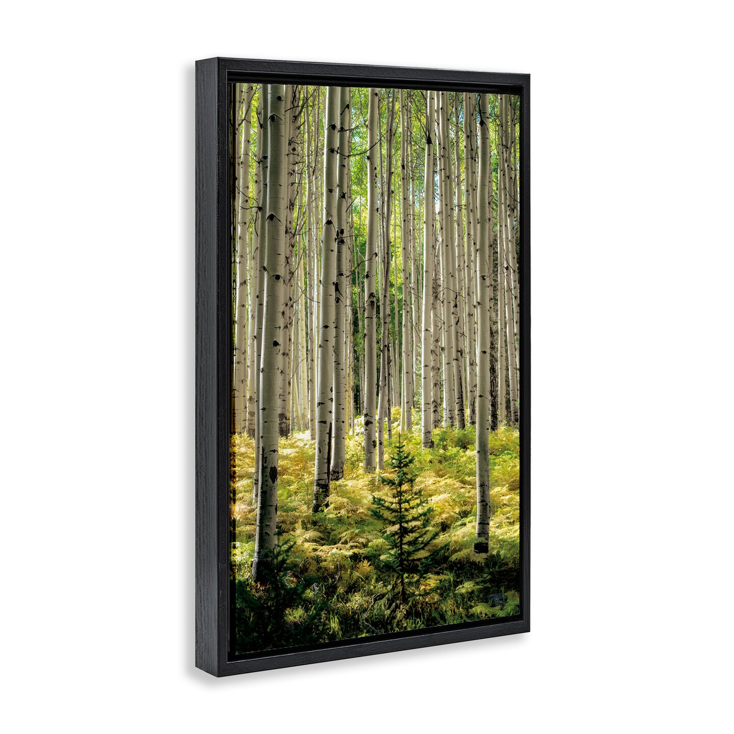 Stupell Industries Small And Tall Birch Forest Floating Frame, design by D. Burt