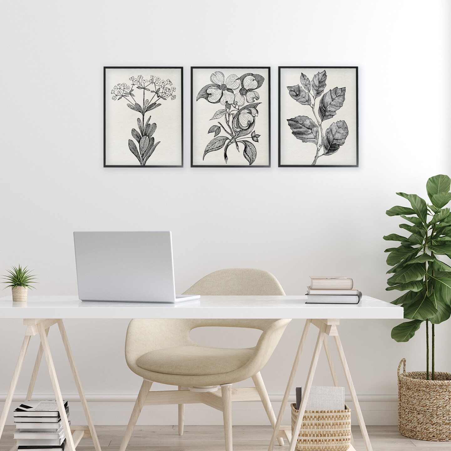 Stupell Industries Classic Natural Botanicals 3pc Framed Giclee Set, design by Karen Smith