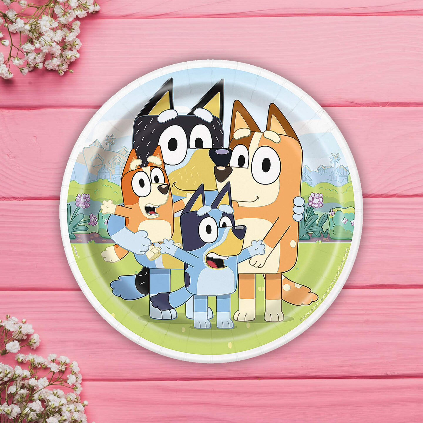 8 Count Bluey Paper Dinner Plates Kids Birthday Party Supplies Heeler Family Theme 9"