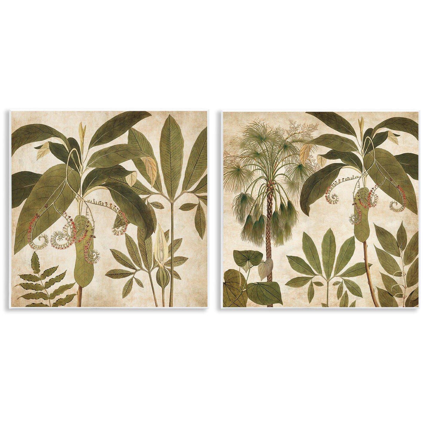 Stupell Industries Vintage Botanical Tropics 2pc Wall Plaque Art Set Design by Chris Donovan