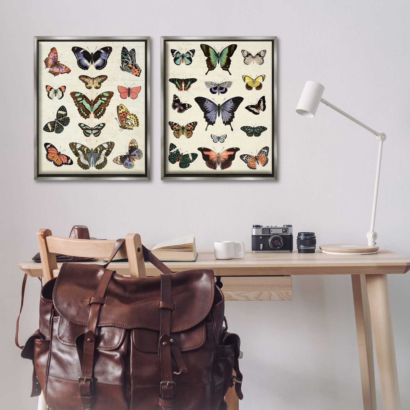 Stupell Industries Antique Butterfly Collection 2pc Floater Framed Canvas Wall Art Set Design by Susan Arnot
