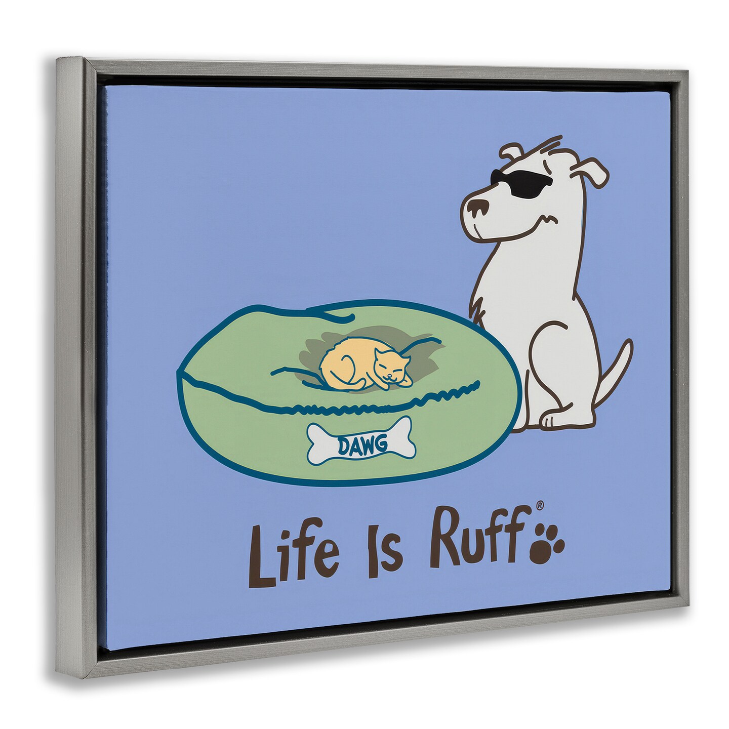 Stupell Industries Cat on Dog Bed Floater Framed Canvas Wall Art Design by LIR