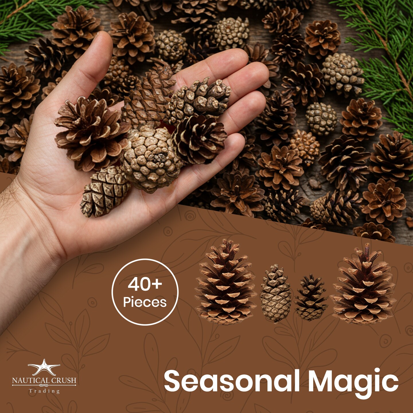 Cinnamon Scented Pinecones Variety 1 lb for Decorating, Over 40 Small Cinnamon Pine Cones for Crafts and Vase Filler Cinnamon Fragrance Pine Cones