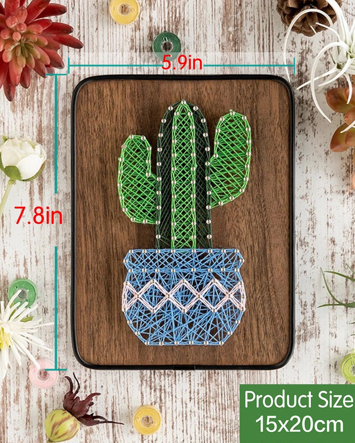 String Art DIY Kit - Potted Cactus. Wizardi Craft Kit F07-M12-3-DH5016
