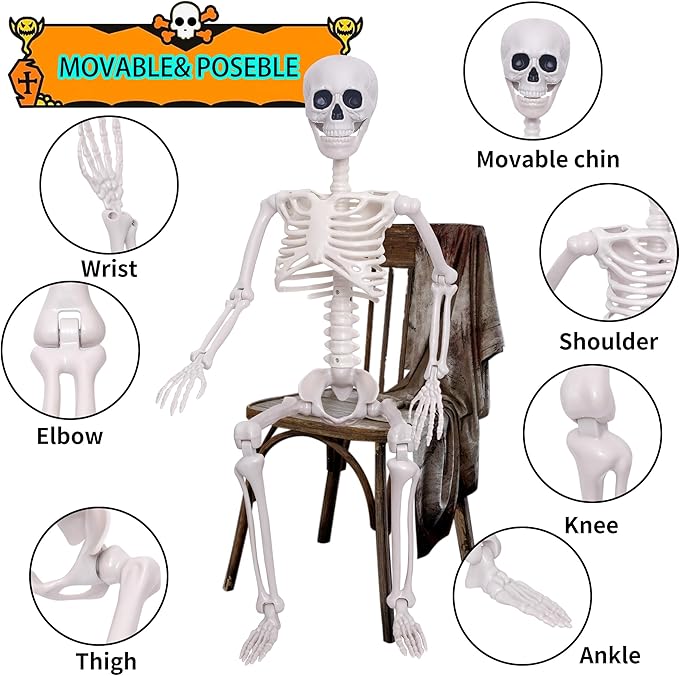 3Ft Halloween Skeleton and 16In Life Size Skeleton Creepy Posable Skeleton Full Size Skeleton with Movable Joints for Outdoor Indoor Halloween Decorations